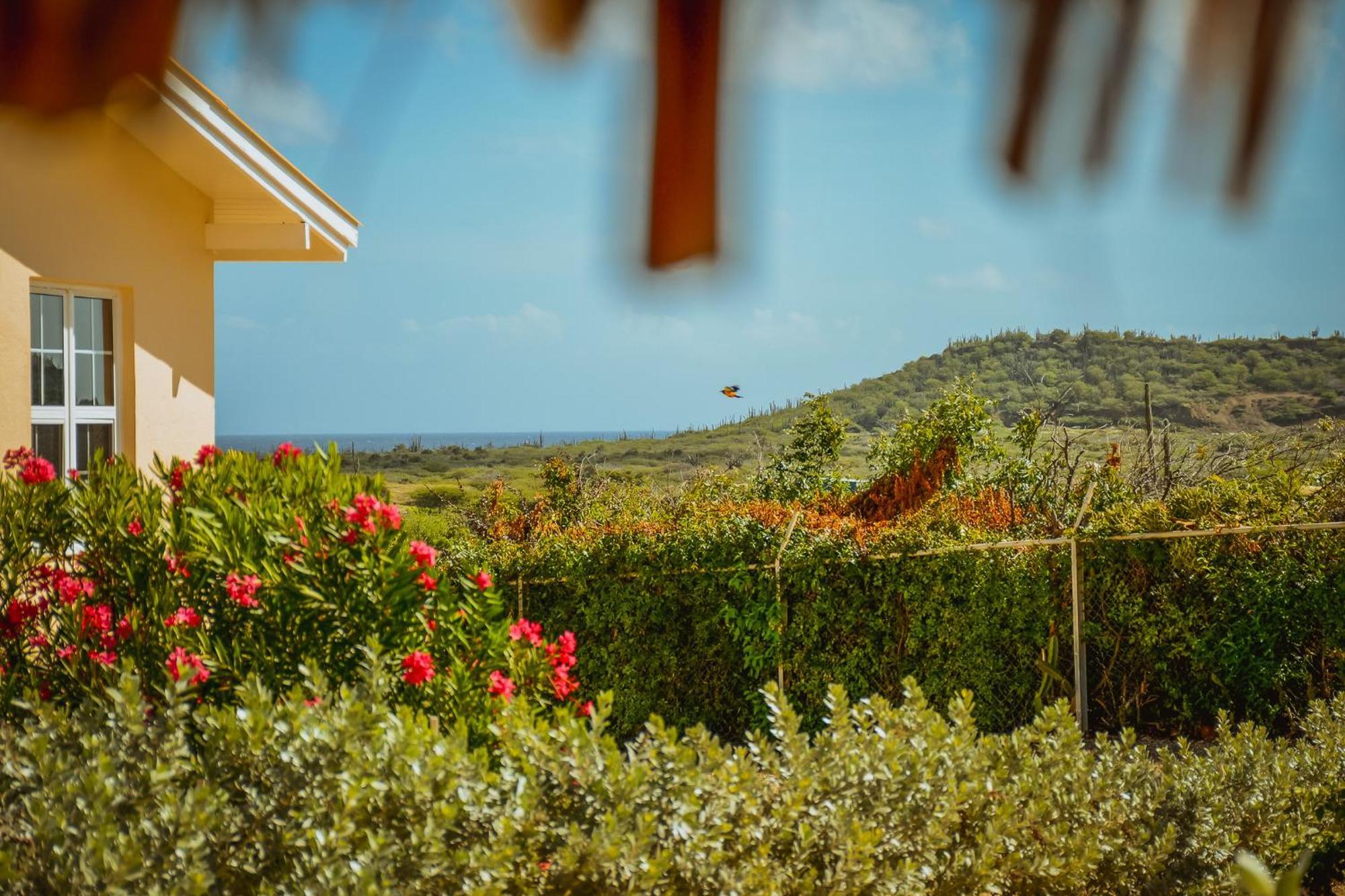 Santa Catharina Resort - Casa Samson Willemstad Extérieur photo